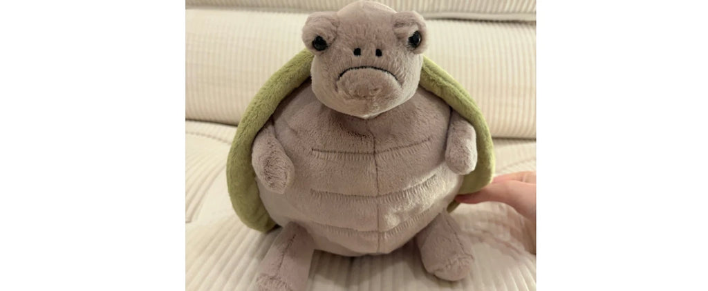 Jellyca Timmy Turtle - New & Authenti