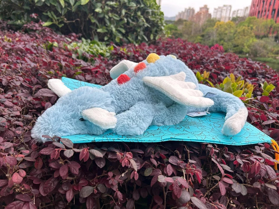 Jellyca Sky Dragon Huge (66cm) - New & Authenti
