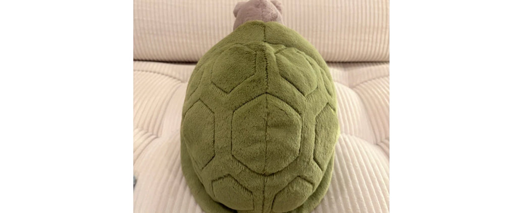 Jellyca Timmy Turtle - New & Authenti
