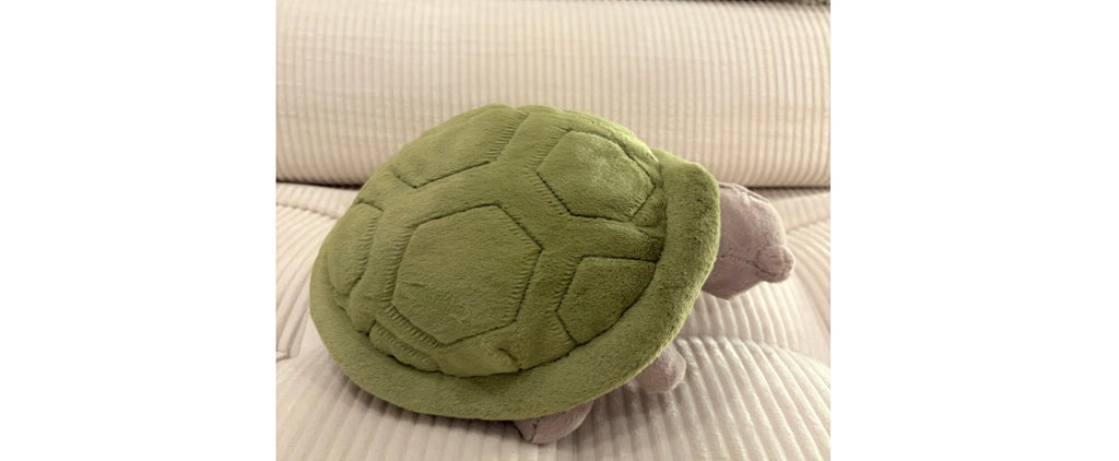Jellyca Timmy Turtle - New & Authenti