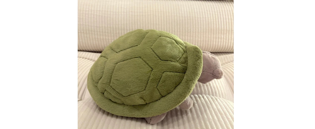 Jellyca Timmy Turtle - New & Authenti