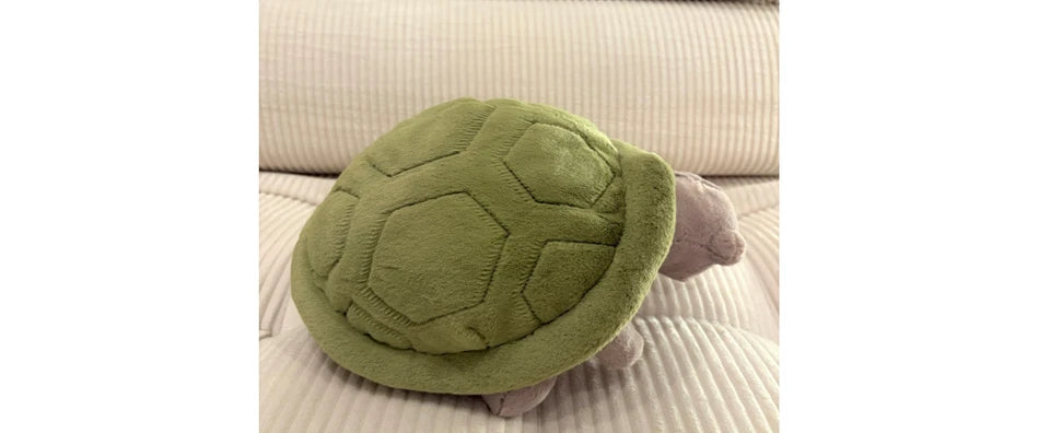 Jellyca Timmy Turtle - New & Authentic